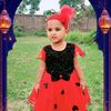 user241631379