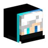 aries_blazer