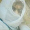 manekh13