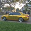 mamed8306