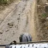 salvatore.bertola0