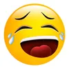 funnythingsoncamera