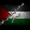 abidihamouda279