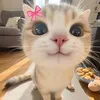 miraelyy