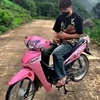 lamdiwavehong