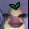 lyn_ach