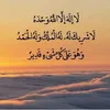 user6216228660008