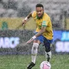 leonardo.rodrigue985