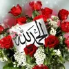 user7086531194684