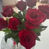 nadia.elm5