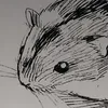 tartarusx31