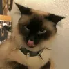 bubu.koo