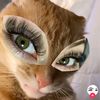 www.tiktok.com.trueno4