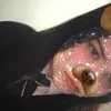 🦇🩸🎧𝖆𝖑𝖊𝖘𝖍𝖆🩸🎧🦇