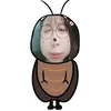 beiuanh1.0