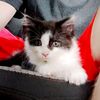 aydin.caskey