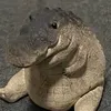isaidlethimarise