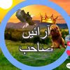 mohammadshahbaz4566