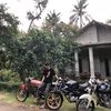 _ketekk