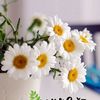 rose1523069562427
