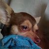 iamsosad_ttpp