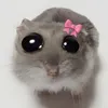 dcgiaivanthidoitennhee