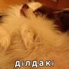 chainik_russia