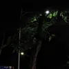 maiimai22th11