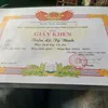trn.mng41