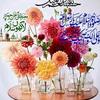 m.zaheer.abbas.7866