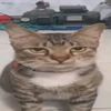 aworawor_mantab