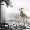 mairo.gonzalez5