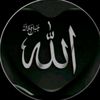 sumi.ackter