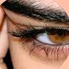 asdk.asdkk