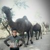 user195202579