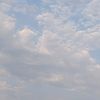 canel77_78