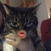 elizaaxyh