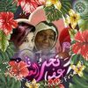 nohamustafaahmedm
