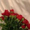 user_07_sd