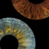 leo020_010