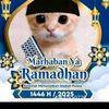 fira.syafirah8