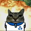xinouwu