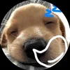 nqoctuyettcutiis1tg
