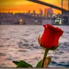 instam.com2717..walid