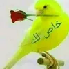 user61347139414064