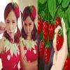 .creasdadani