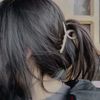 nila_zahan