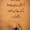 shazadalia347