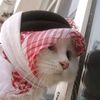 asma.lovely10