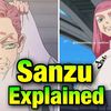 Sanzu News